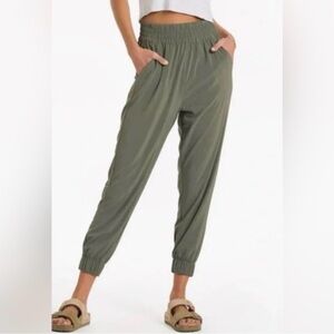 American Eagle Outfitters Sage Green Joggers